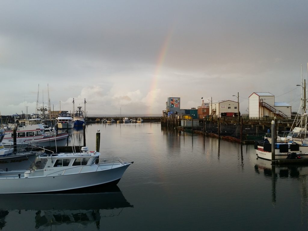 Looking out over a deep water harbor full of charter and commercial fishing vessels.  A rainbow is dropping from the clouds in the middle of the image, reflecting in the water.
