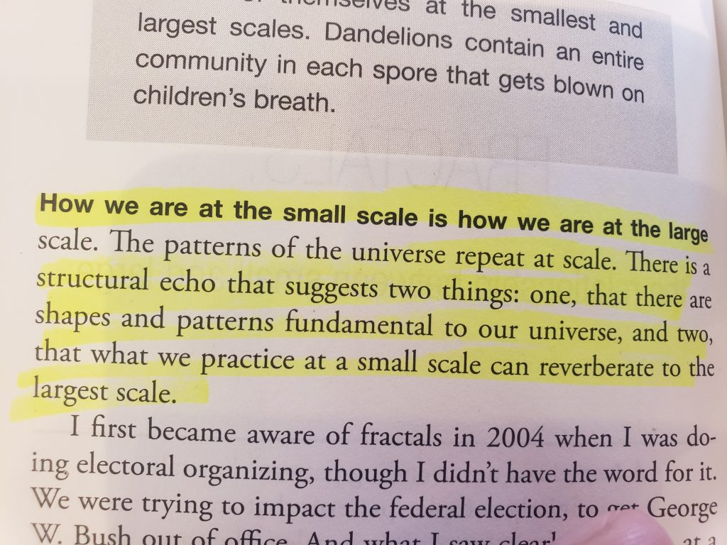 From Emergent Strategy:  “How we are at the small scale is how we are at the large scale.  The patterns of the universe repeat at scale.  There is a structural echo that suggests two things:  one, that there are shapes and patterns fundamental to our universe, and two, that what we practice at a small scale can reverberate to the largest scale.” (2017, p 52)