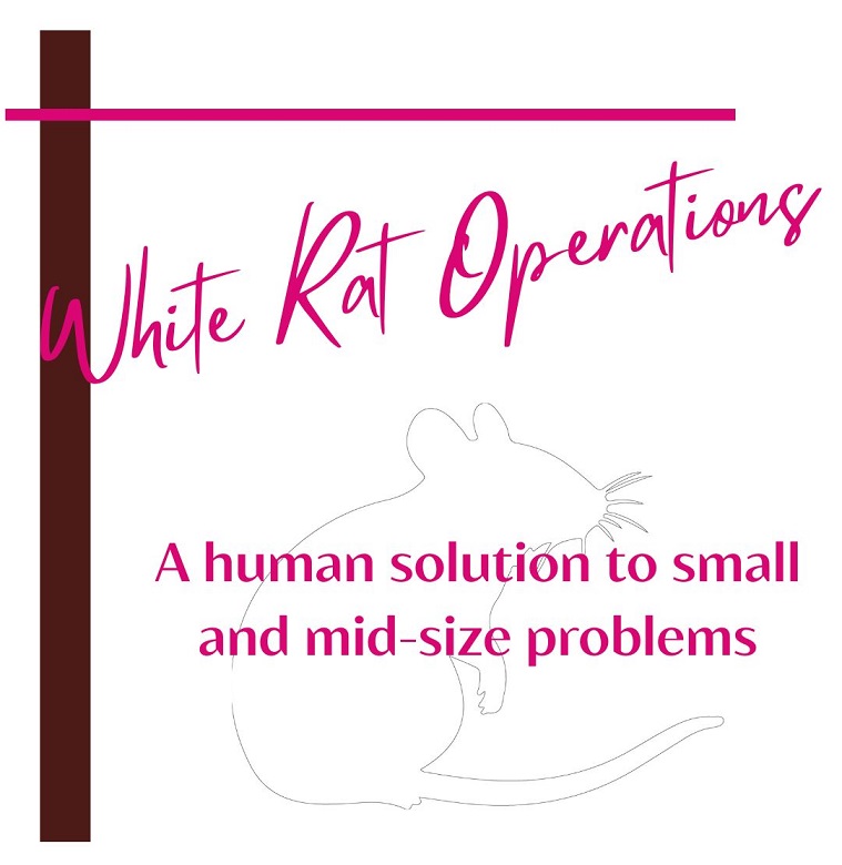 White Rat Operations, in bright pink italics, just above the outline of a cute little rat, whiskers akimbo. Catch phrase reads "A human solution to small and mid-size problems"